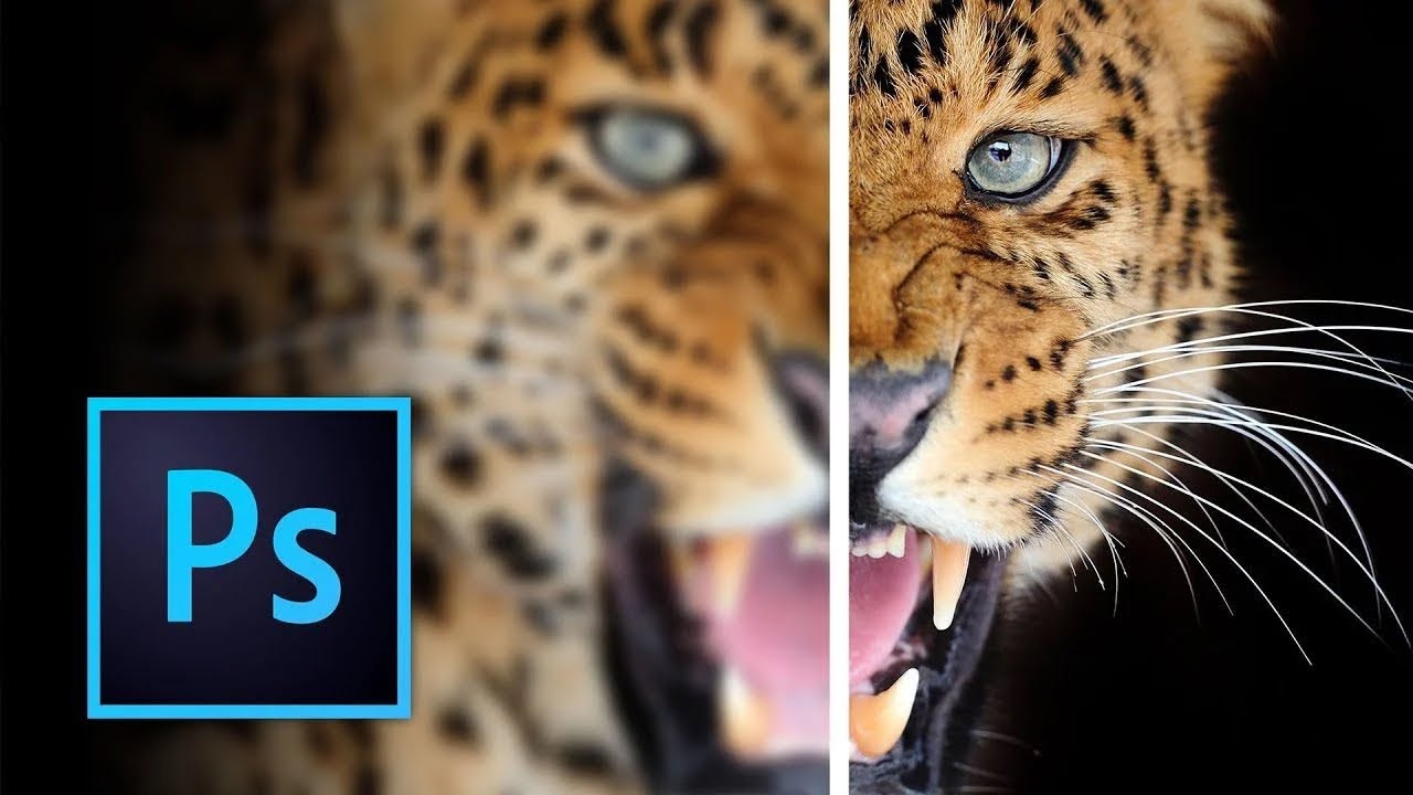 Adobe Photoshop-Sharpening the image with smart sharpen tool