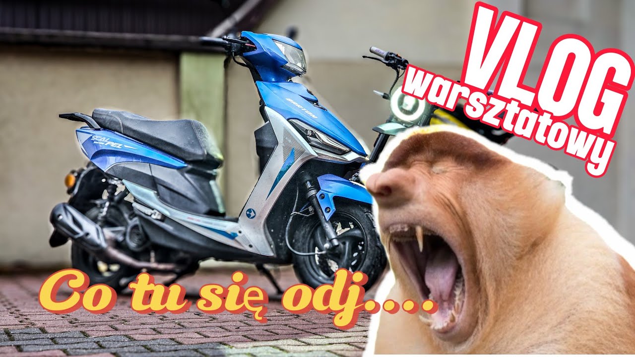 Jak szybko umoczyć 500zł ! Barton Scalpel | Niu XQI3