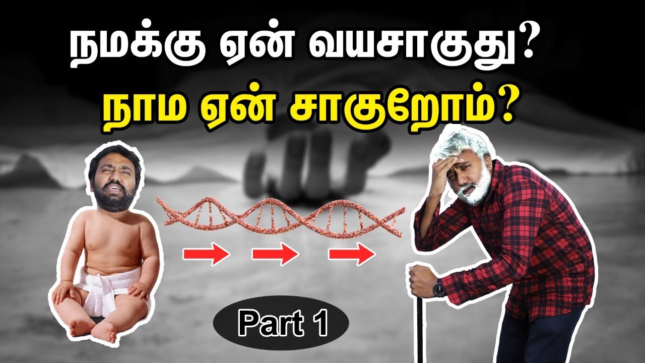 இத நிறுத்துனாலே சாகுறதையும், வயசாகுறதையும் தடுத்துடலாமா? | Why do we die Tamil? | Reason for ageing