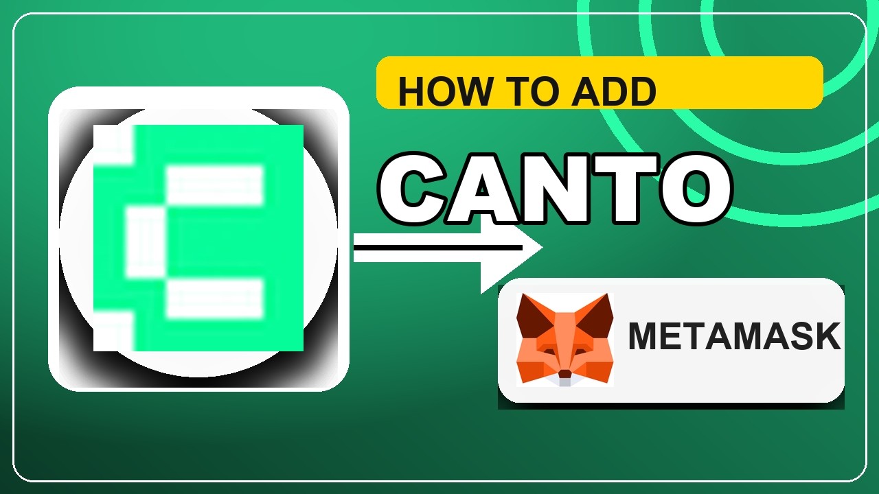 How to Set Up Canto on MetaMask