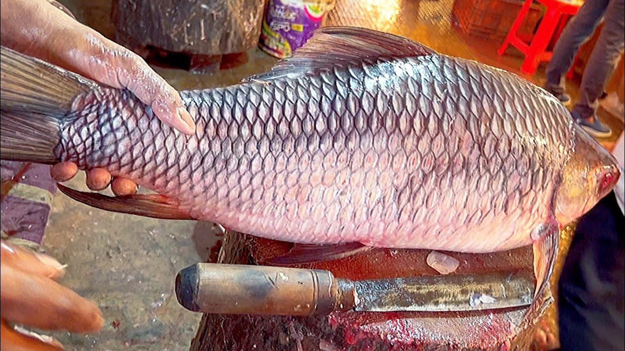 Today Big Rohu Fish Cutting By Bangladeshi Expert Fish Cutter | Amazing Cutting Skills