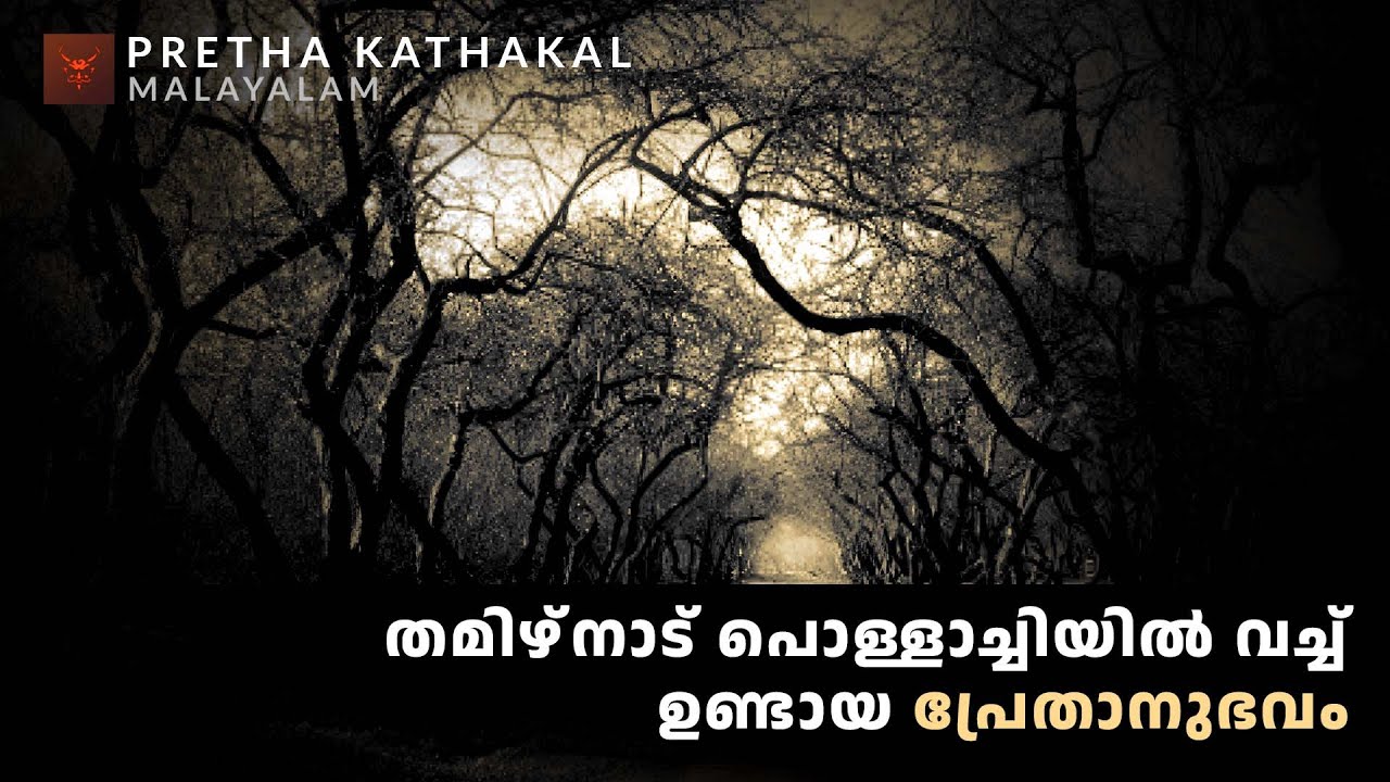 തമിഴ്‌നാട് പൊള്ളാച്ചിയിൽ വച്ച് ഉണ്ടായ പ്രേതാനുഭവം  | horror story malayalam | ghost story malayalam