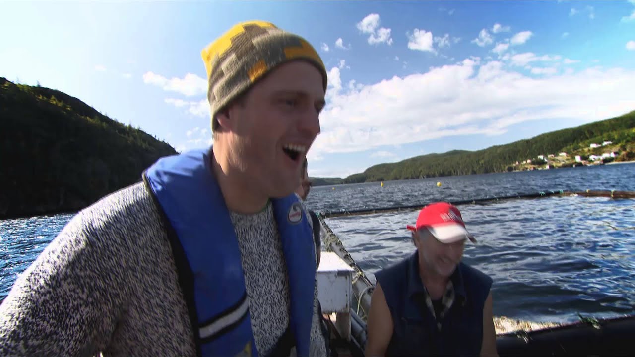 wild table trailer - Joe Harding Director/ camera