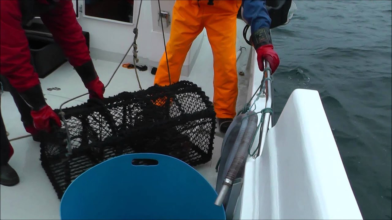 Lobster and Crab Fishing in Øygarden, Norway