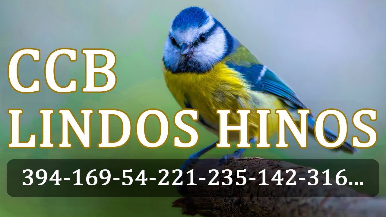 HINOS CCB 394 169 54 221 235 142 316 208 371 371