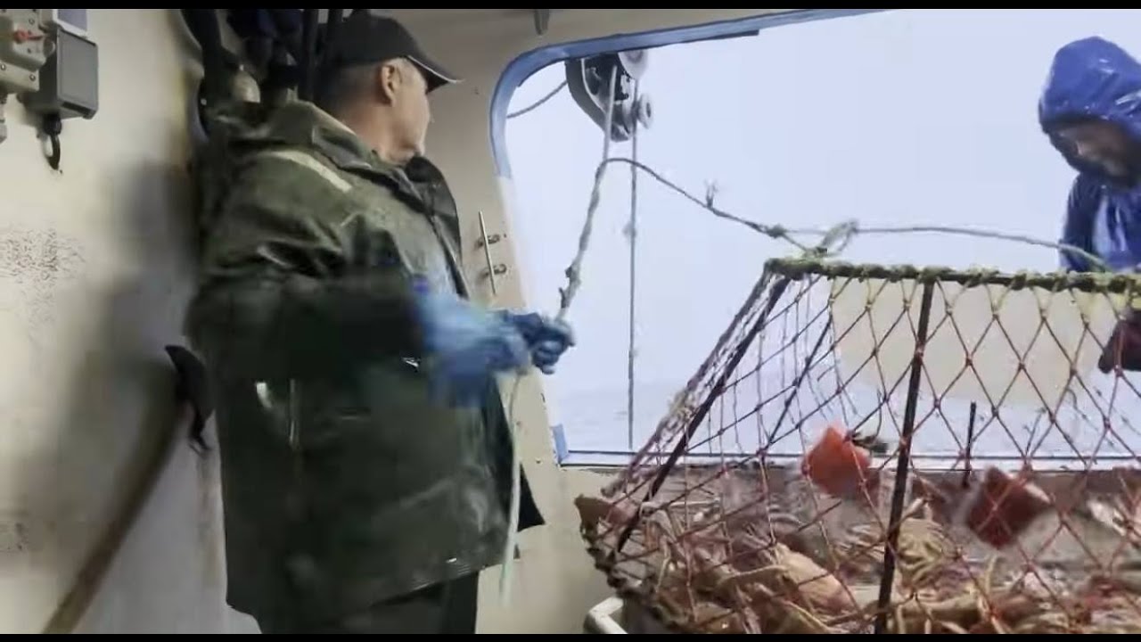 Snow Crab Fishing 2025