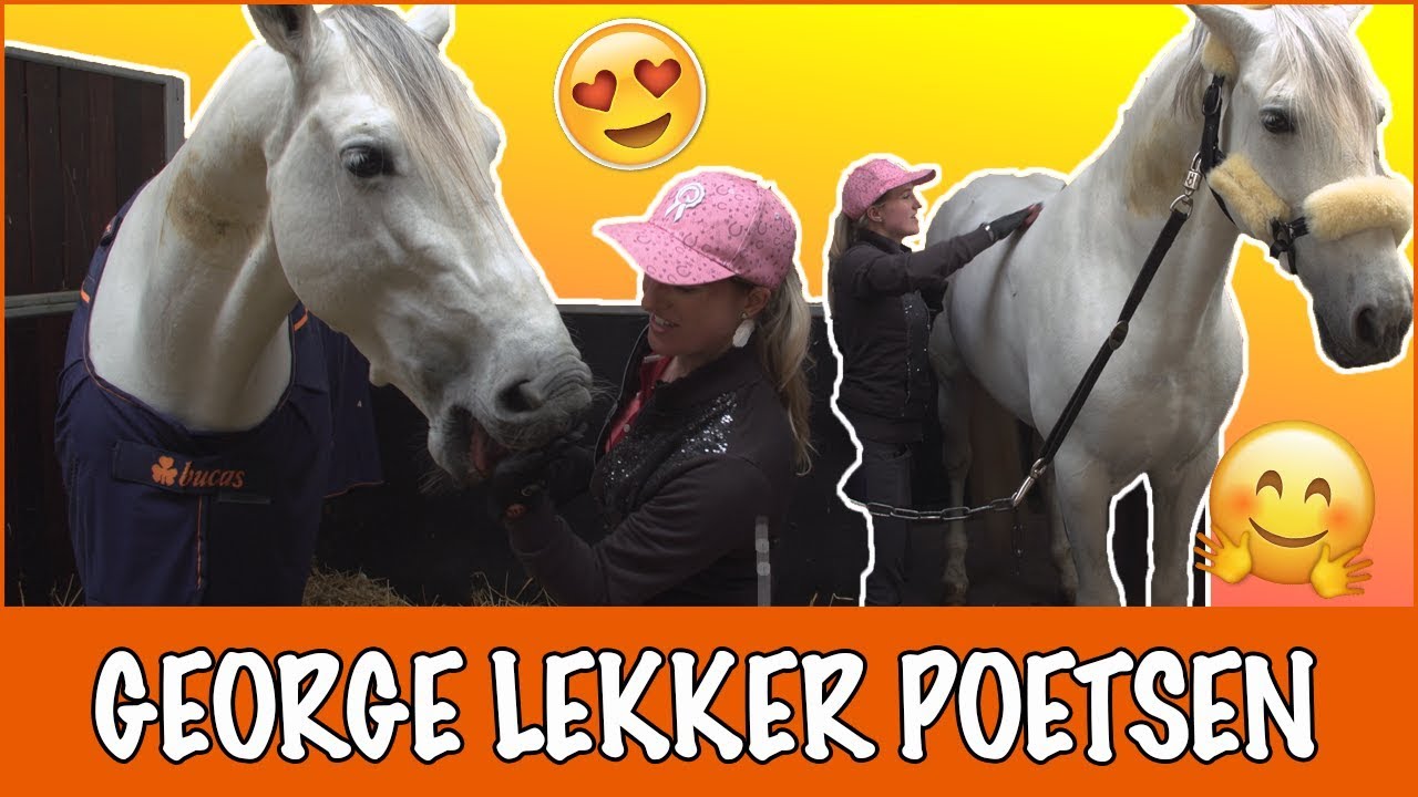 George zijn eerste week op stal | PaardenpraatTV