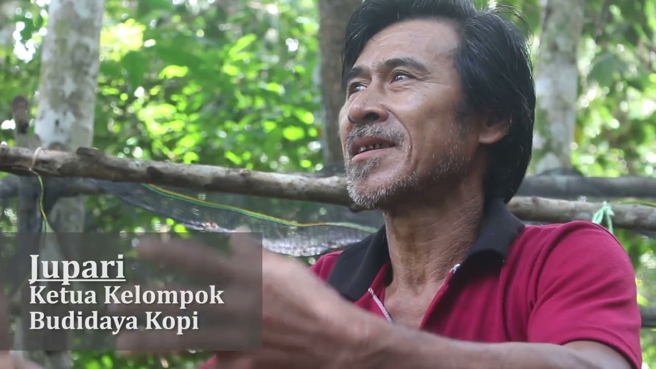 Desa Mensuang: Menggabungkan Pelestarian Hutan dan Kopi Lokal