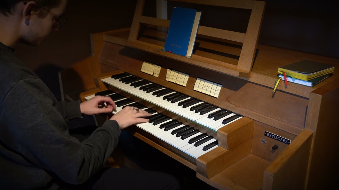 HEYLIGERS prezentacja model F (~1973) - najlepsze instrumenty analogowe