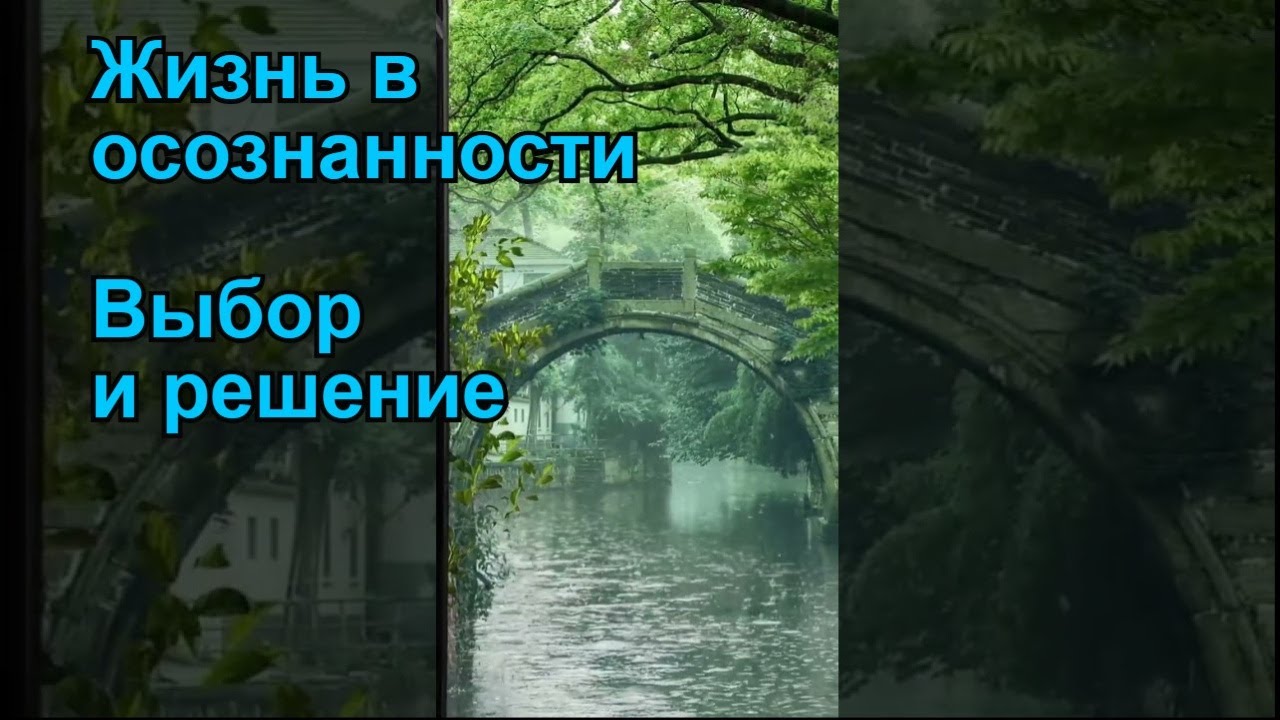 Выбор и решение. Жизнь в осознанности