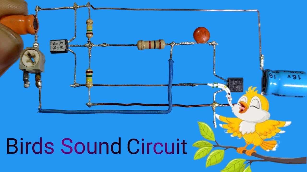 Unique Birds Sound Generator Circuit || musical doorbell circuit || sound generator