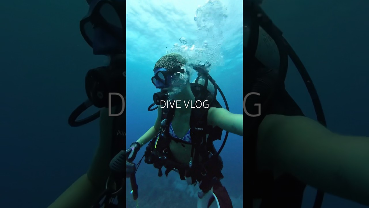 dive vlog kinda 