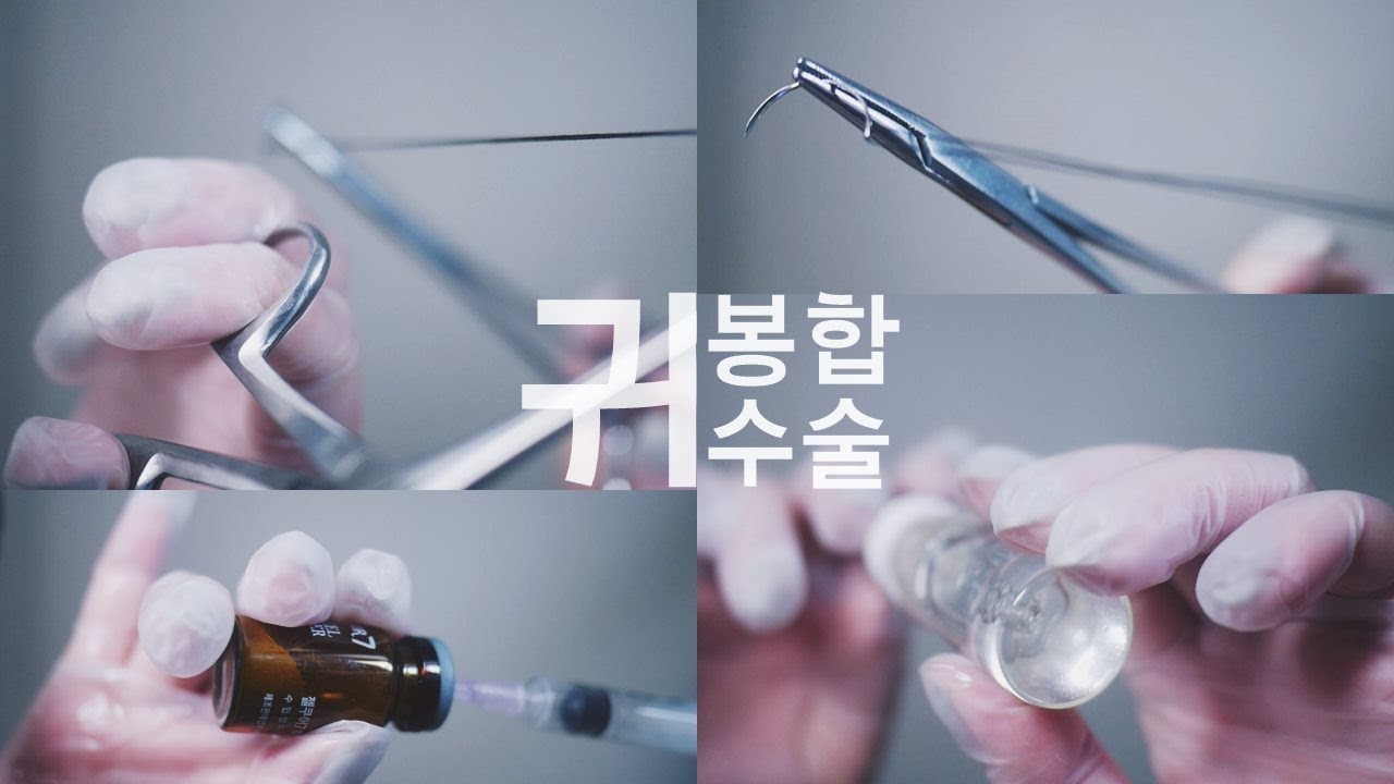 ASMR Ear | Sewing | Stitched | 귀 상처 봉합2