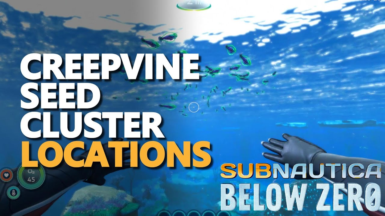 Creepvine Seed Cluster Location Subnautica Below Zero