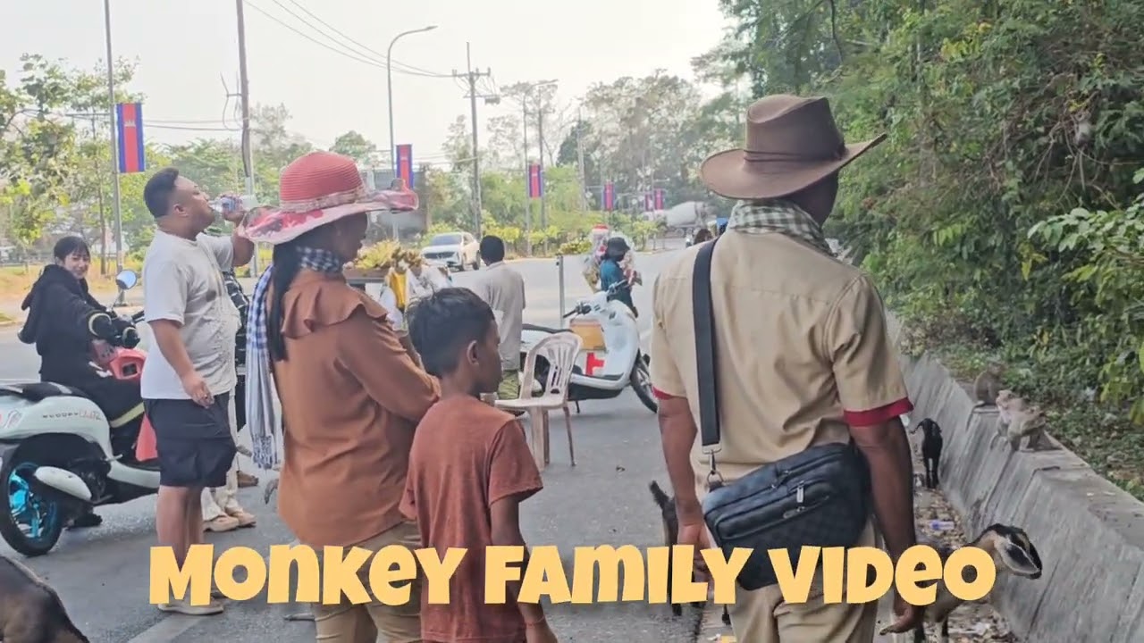 Monkey Family video 