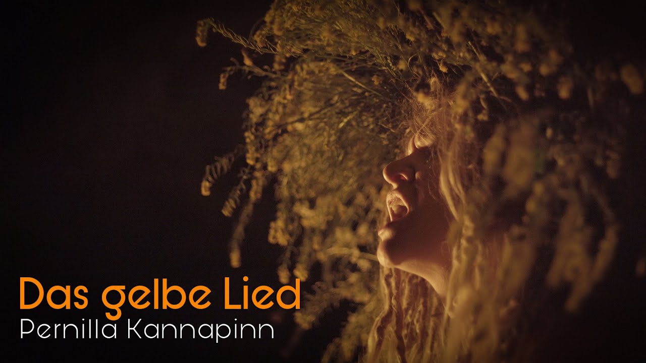 Das gelbe Lied | Pernilla Kannapinn | Official Music Video