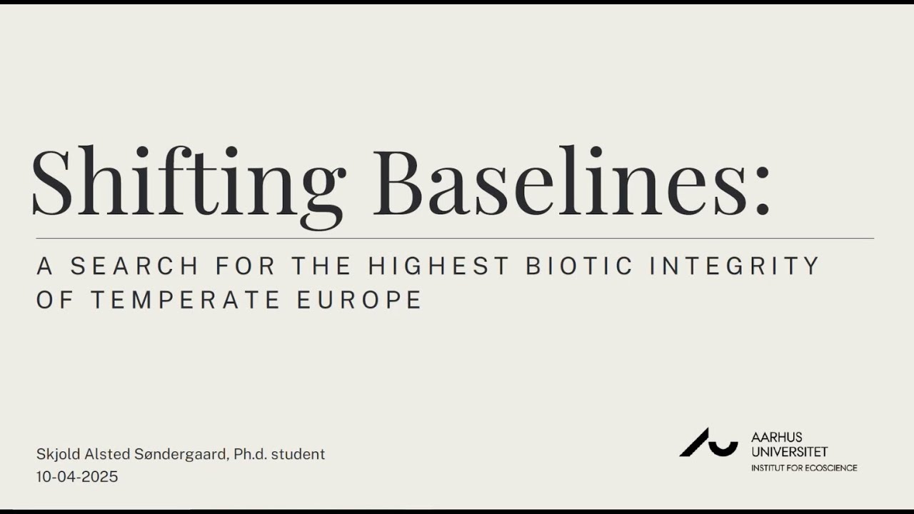 Skjold Alsted Søndergaard: A search for the highest biotic integrity of temperate Europe