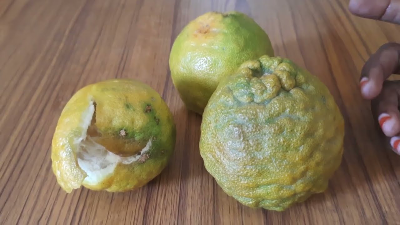 கொலுமிச்சை, நார்த்தங்காய், கெடாரங்காய்...... ஒன்றா வேறா?