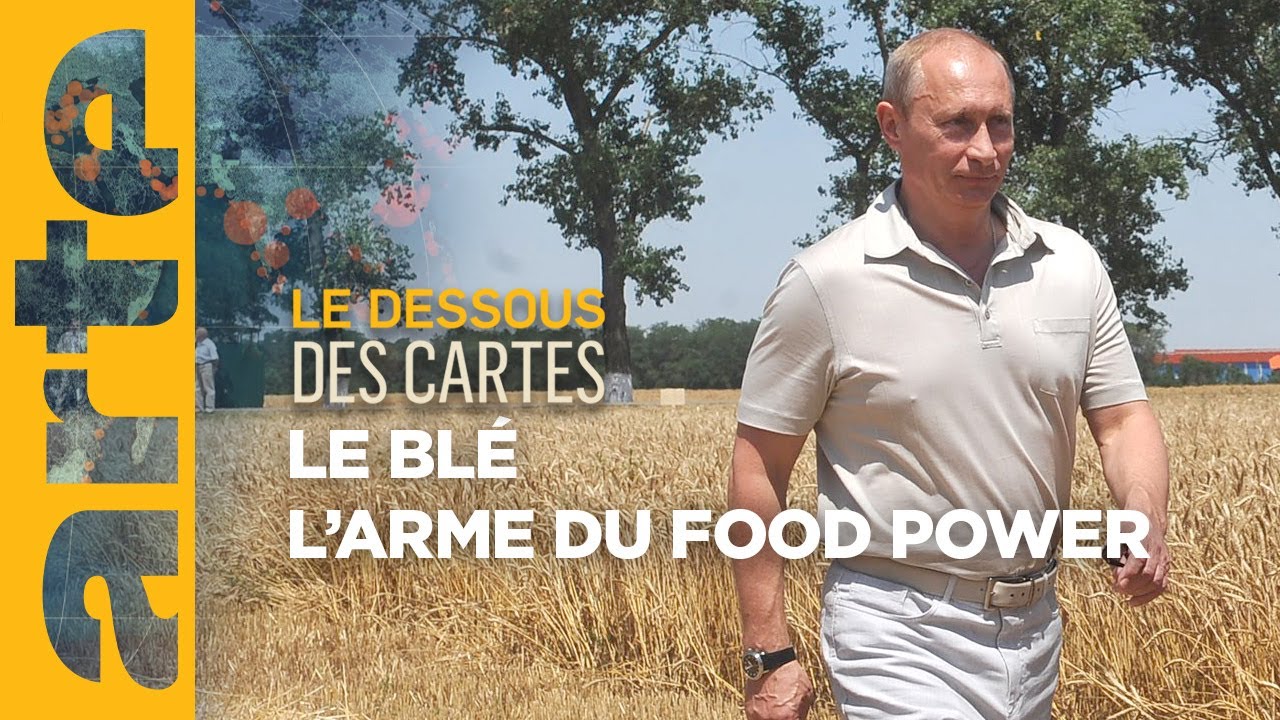 Le bl&eacute; : un enjeu de food power - Le dessous des cartes | ARTE