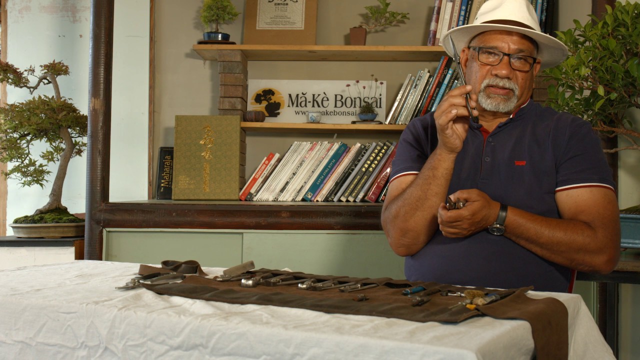 180) Bonsai Tools - Pruning Tools Introduced