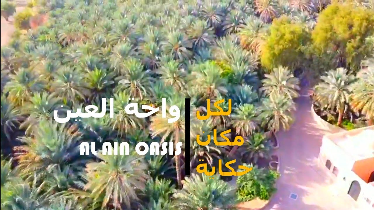 لكل مكان حكاية   واحة العين    AL AIN OASIS    من أجمل الأماكن  التي يجب زيارتها في العين