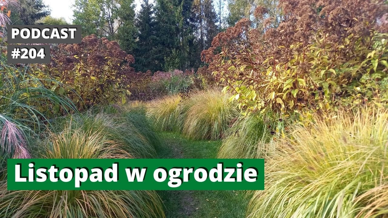 204. Listopad w ogrodzie. Podcast