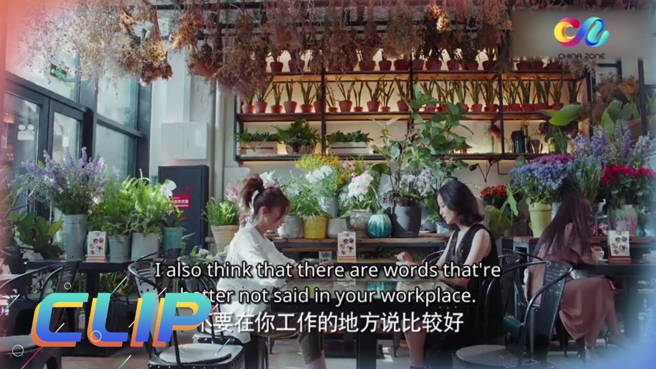 【ENG SUB】《恋爱先生 Mr. Right》辛芷蕾找江疏影谈判 主演：靳东 | 江疏影 | 辛芷蕾【China Zone 剧乐部】