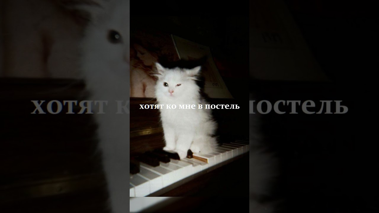 трек уже на канале, ТГК - crapchiks #песнянепронас #оригинальныйтрек #музыка #врек #rock #music #рок