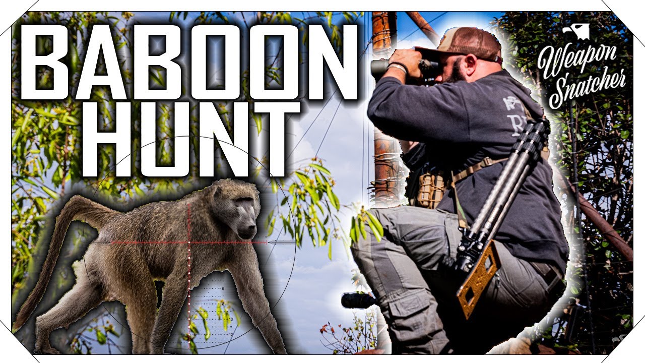 What It Takes To Long Range Hunt Baboons In Africa!!