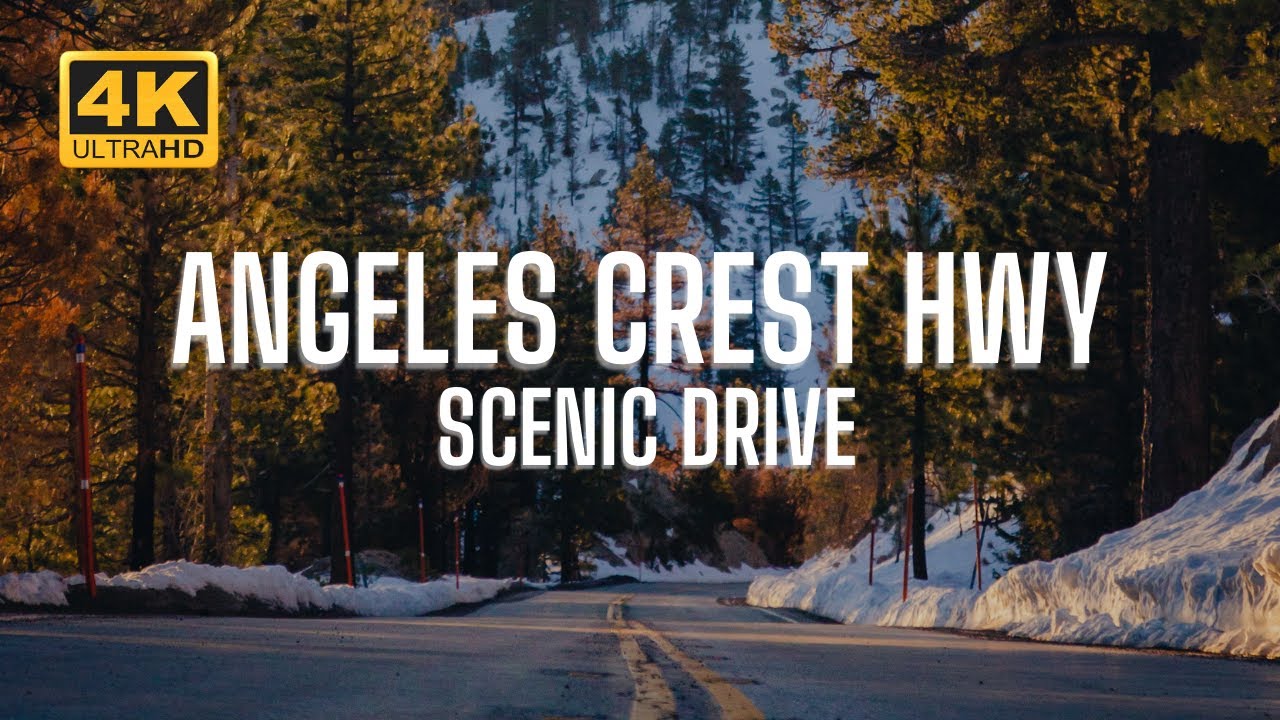 [4K] Scenic Drive - Angeles Crest Highway [Lofi]
