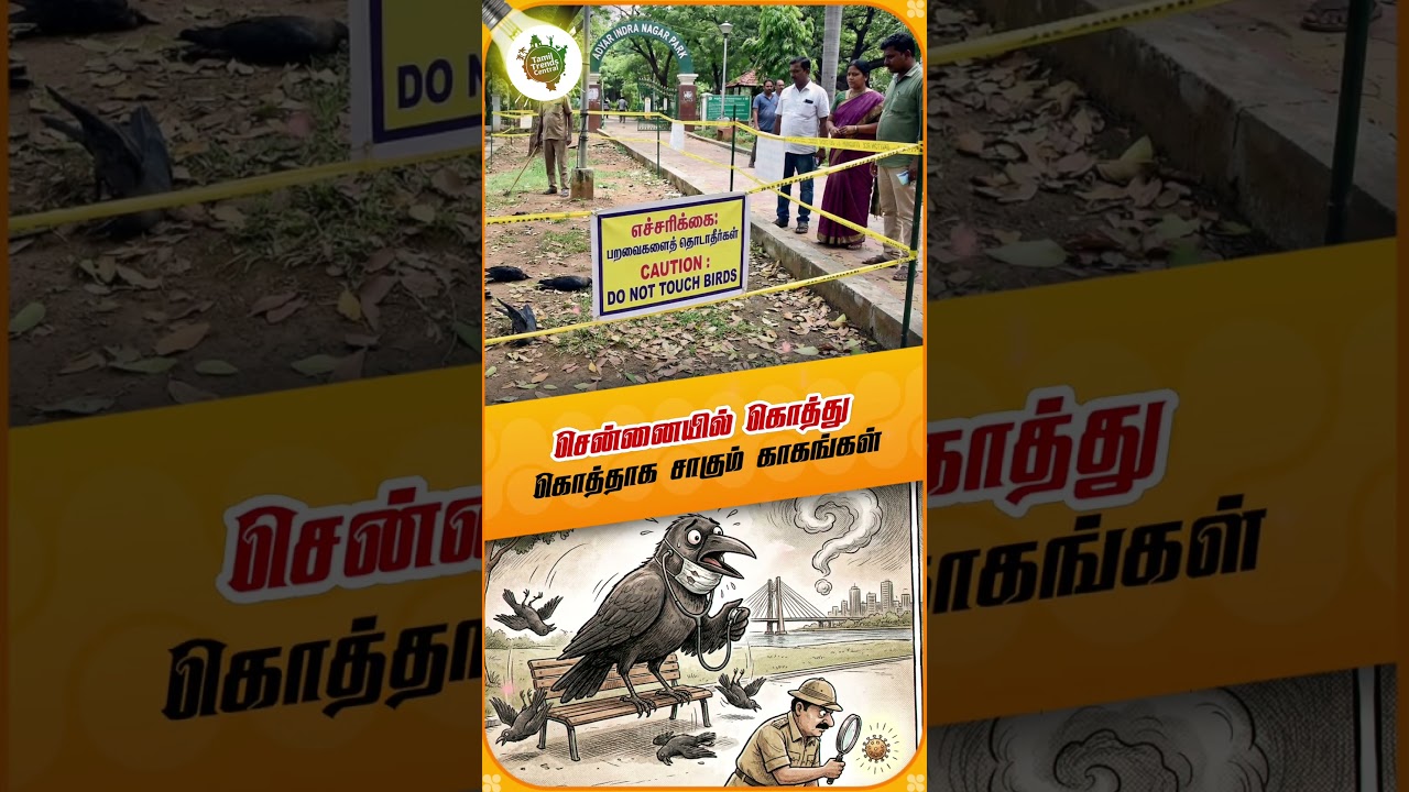 அடையாறு பூங்காவில் மர்மம்! மக்கள் பீதி.. காரணம் என்ன? 🥺 #Shorts
