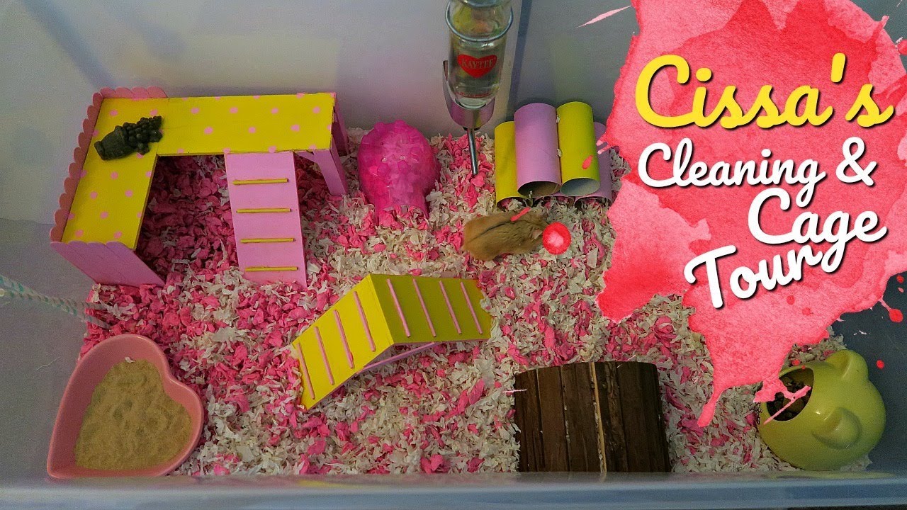 Cleaning Hamster Bin Cage + Cissa's Cage Tour!