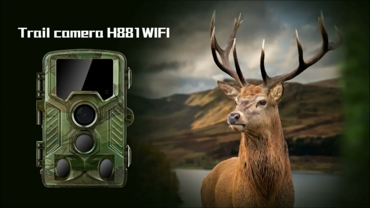 COOLIFE wildlife camera dual cameras 4K 32MP