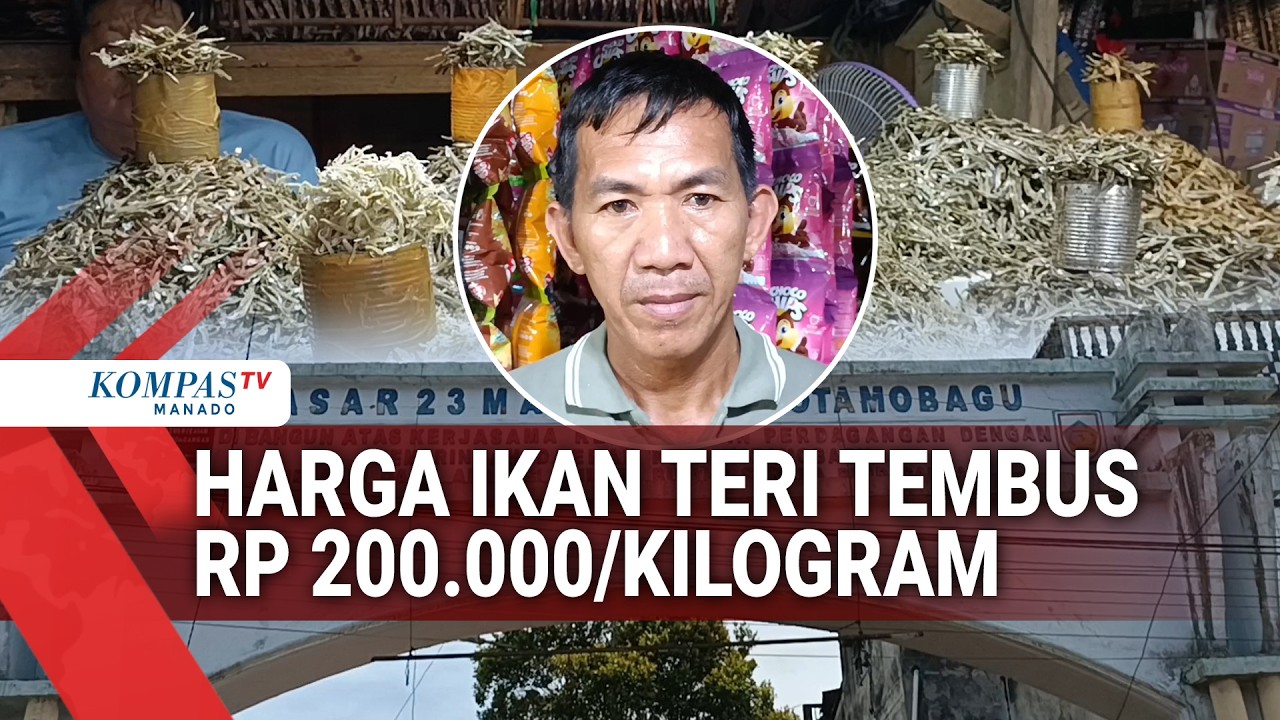 HARGA IKAN TERI TEMBUS RP 200.000/KILOGRAM
