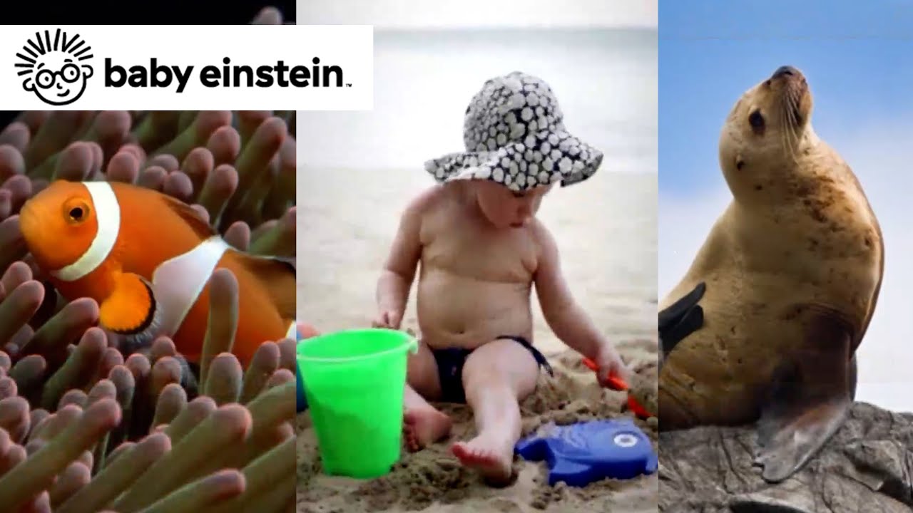 Neptune's Oceans | Baby Einstein Classics | Learning Show for Toddlers | Kids Cartoons