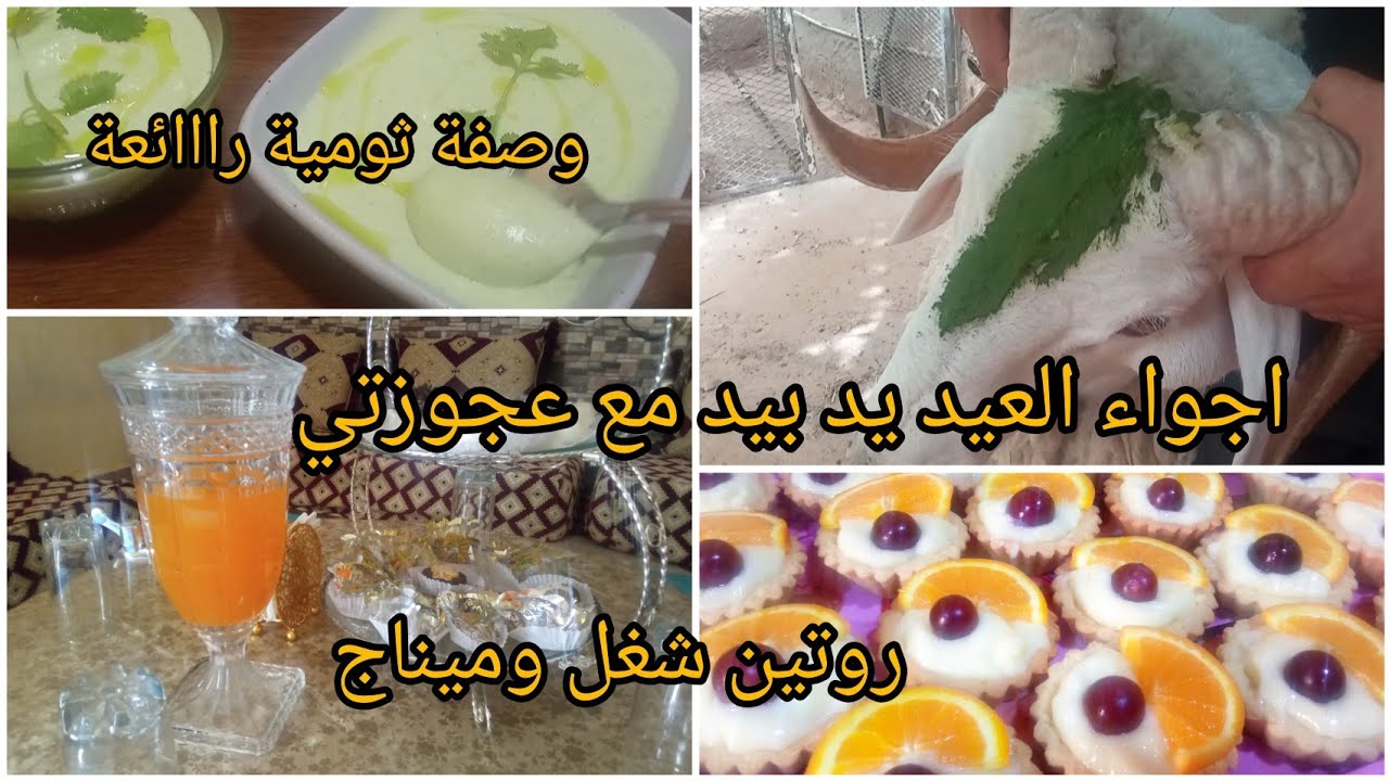 أجواء عيد الاضحى 🐑 واش؟؟ ديت معايا عند عجوزتي 🍰 وتنظيف عميق للكوزينة 💪