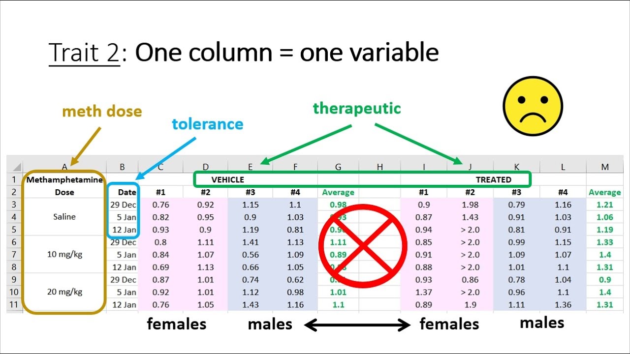 7 Traits of Tidy Data
