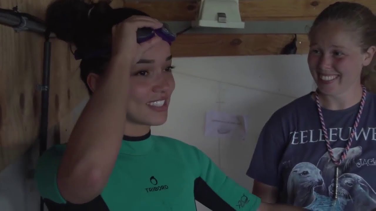 Dutch wetsuit shark swim challenge 2