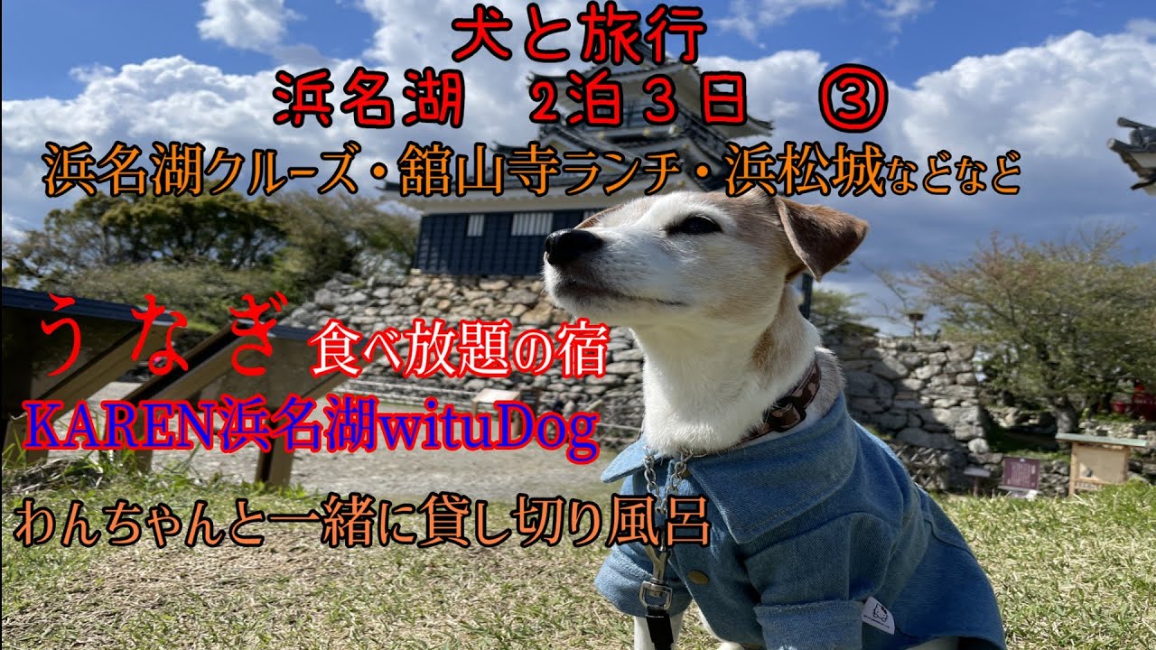 【犬と旅行浜名湖】遊覧船クルーズ、舘山寺参道、浜松城、うどん権太ランチ、２泊３日モデルコース、ジャックラッセルテリア、KAREN浜名湖、三ケ日みかんサワー、貸し切り風呂、うなぎ角煮食べ放題、観光お宿編