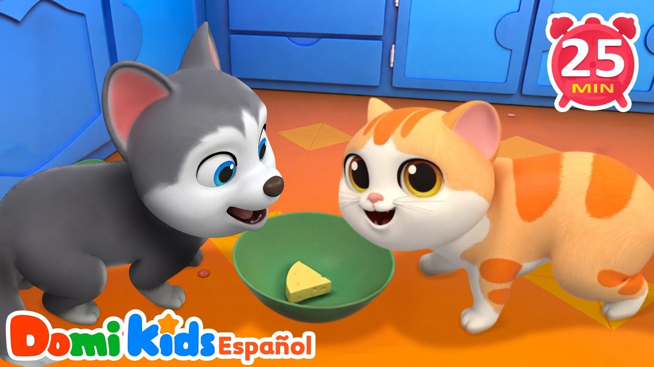 ¿Dónde Está el Gatito? 🐱| Versión Bilingüe | Canciones Infantiles | Domi Kids Fiesta Animal