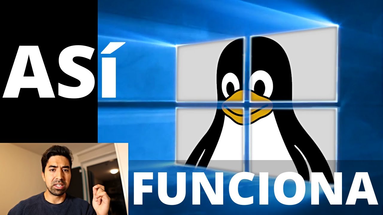 Así funciona tu Sistema Operativo