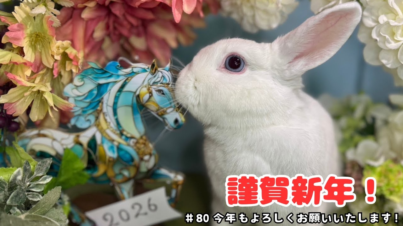 【謹賀新年】新年一発目の爪切りに足がプルプルしちゃうウサギさん！？