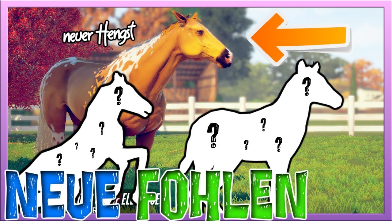 3️⃣ FOHLEN von unserem NEUEN DECKHENGST 🧡💚💙 Rival Stars Horse Racing DESKTOP EDITION