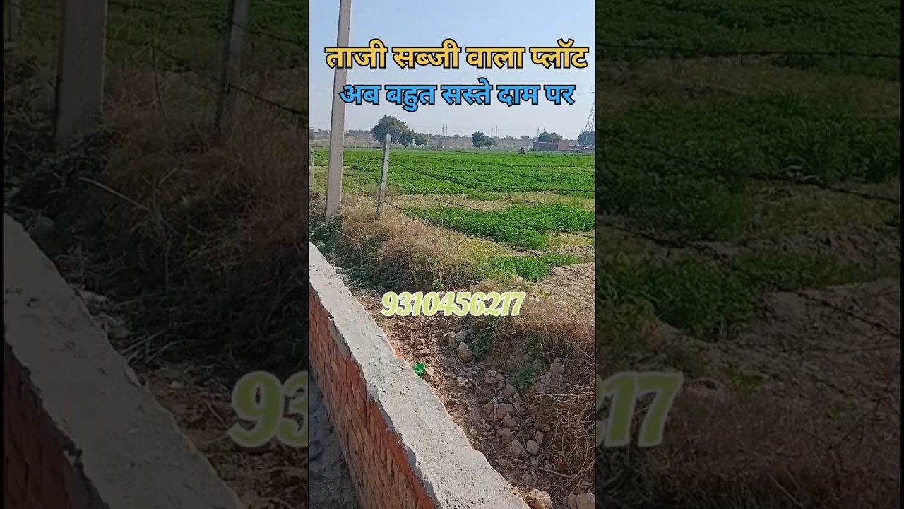 Fresh Vegetables Wala Plot on Affordable Rates || Vijay Property Expert