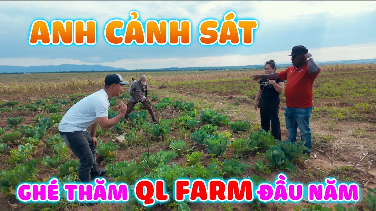 Quanglinhvlogs || Anh 
