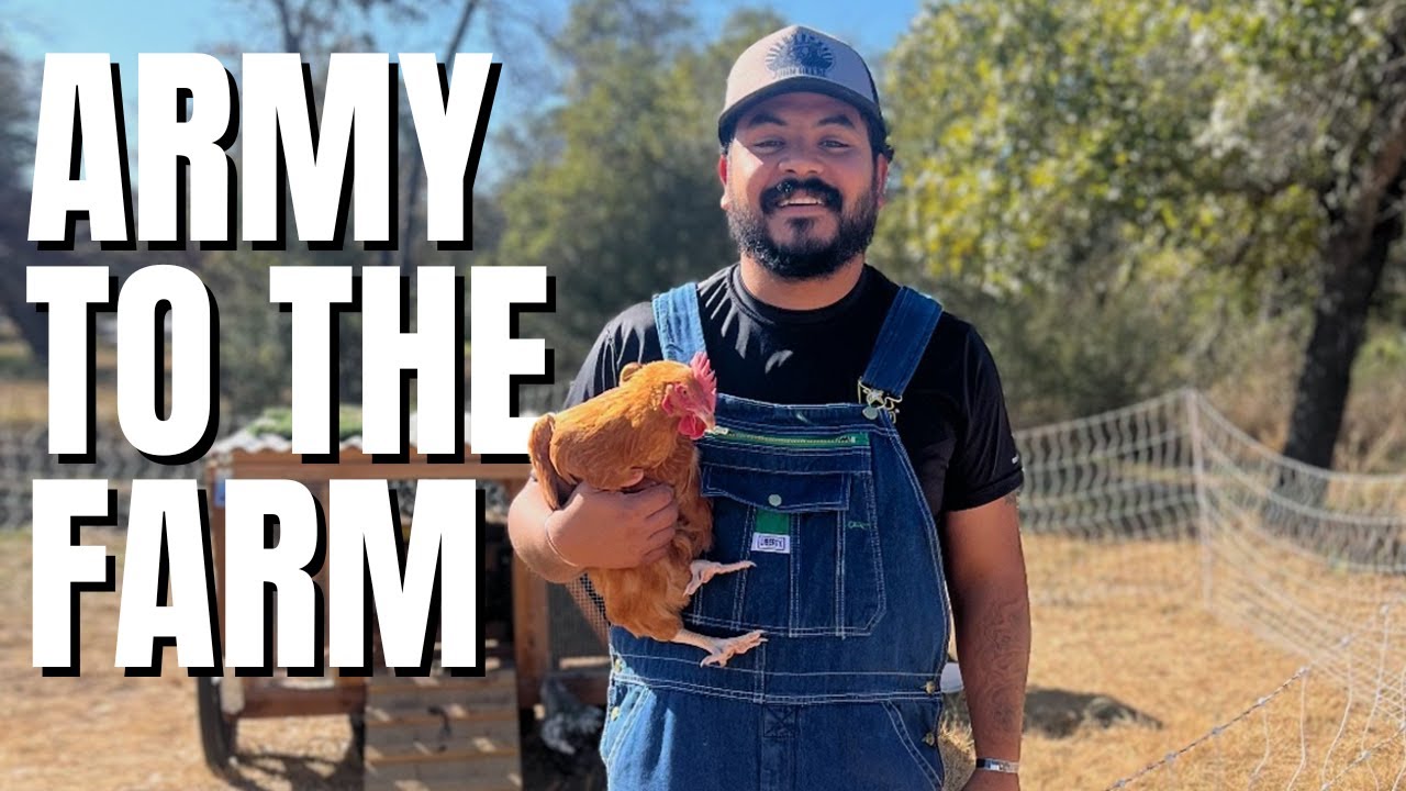 Why This Army Vet Is Raising Chickens in Texas