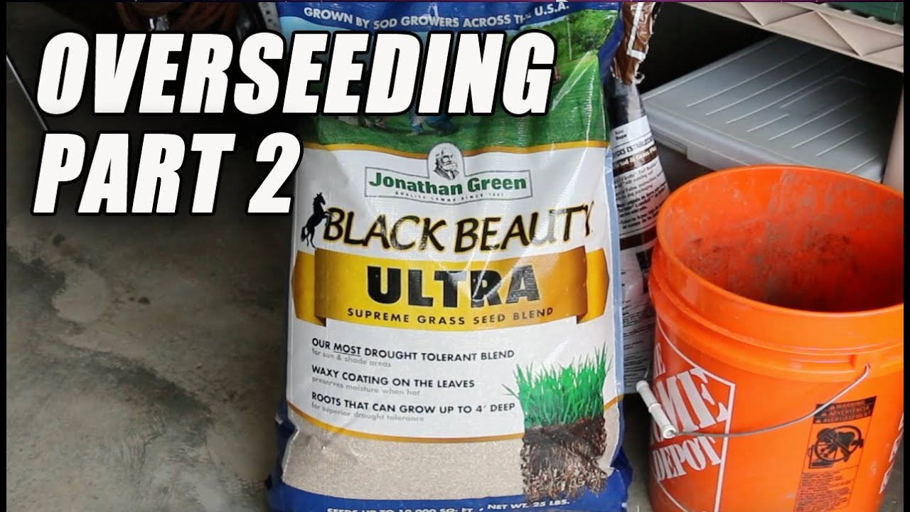 Джонатан Грин Black Beauty Ultra Overseeding ЧАСТЬ 2