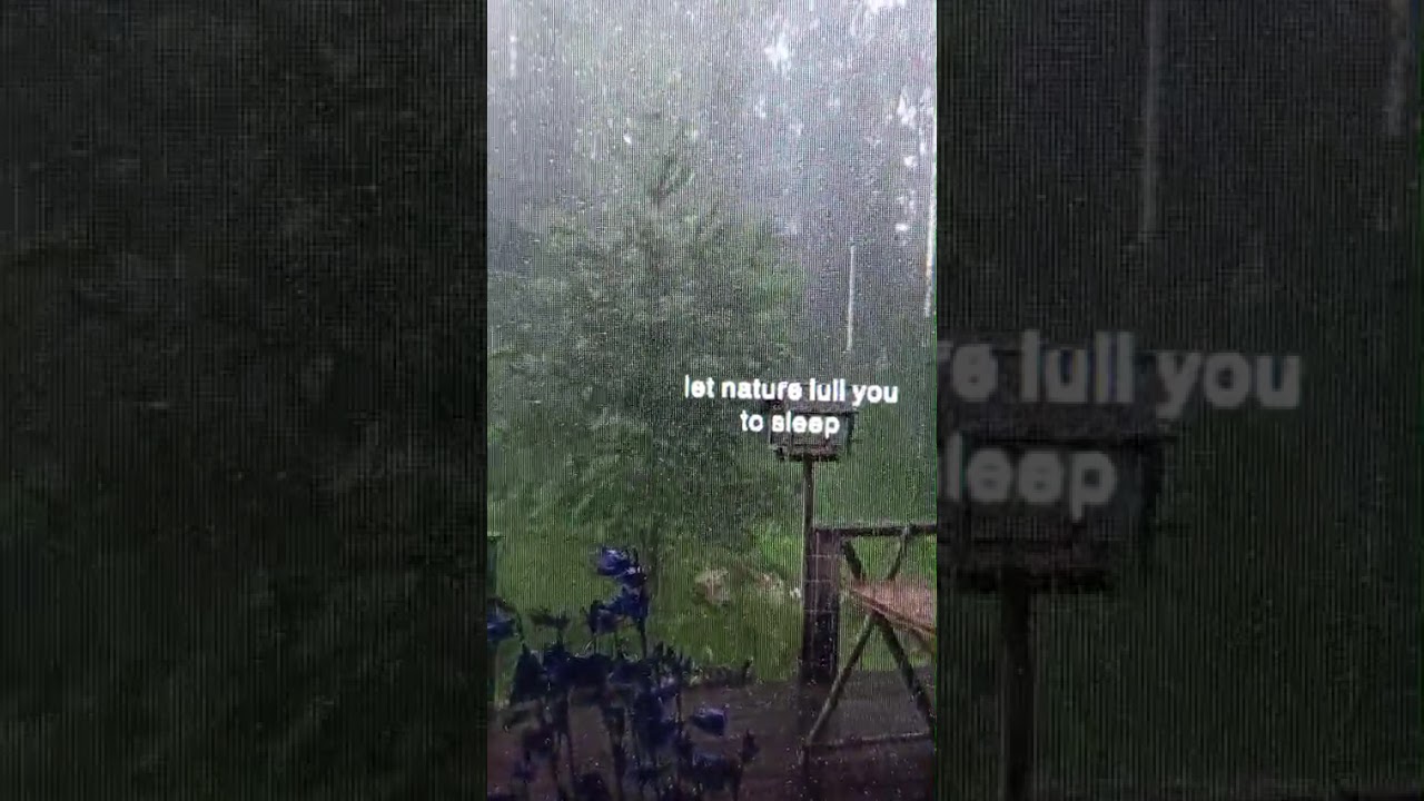 #naturallull #shortvideo #naturalrain