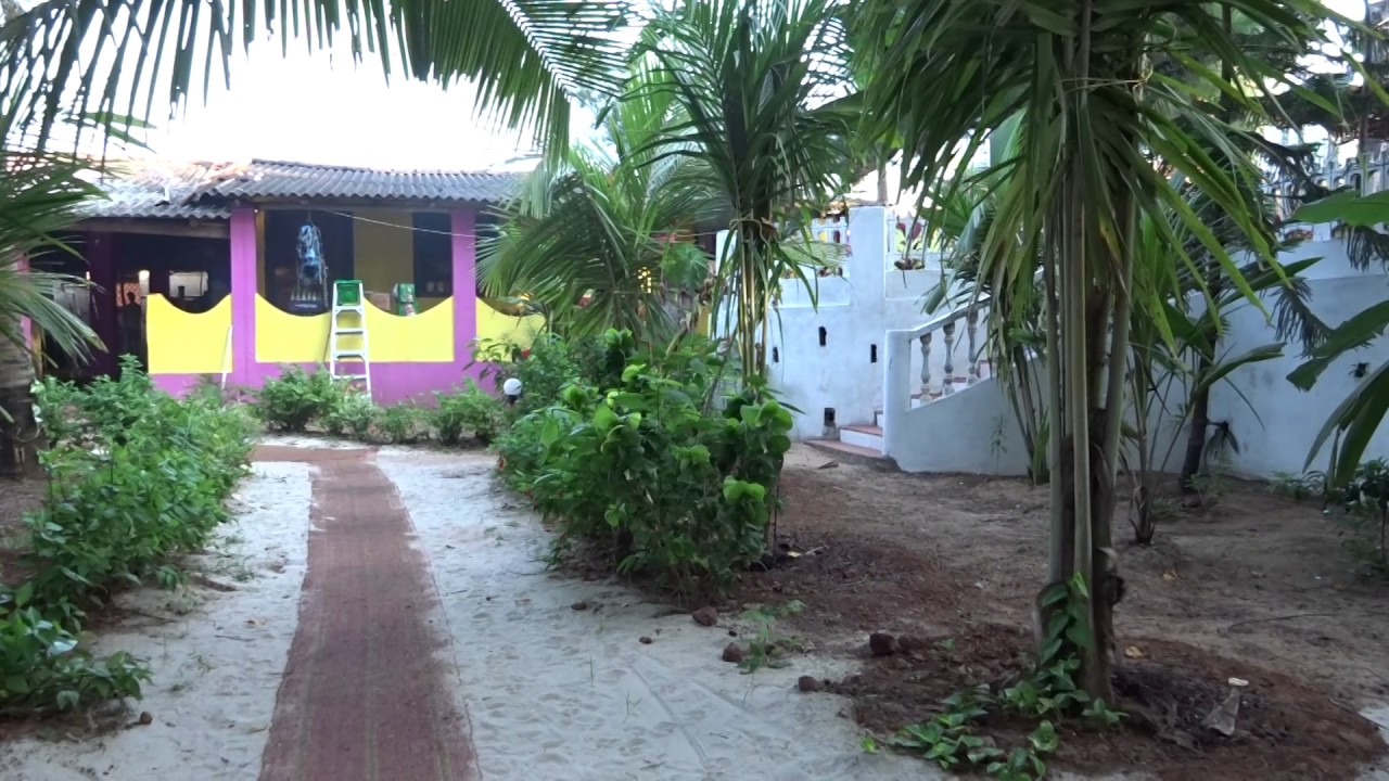 Vailankanni Sea View Rooms and Huts on Mandrem beach Goa | Beach huts stay in Goa