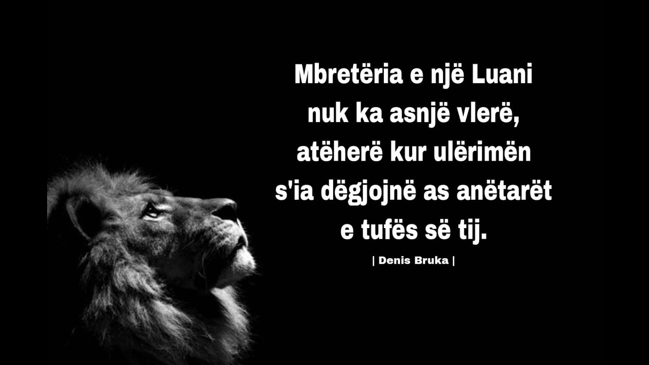 Fjale te urta - Denis Bruka 2